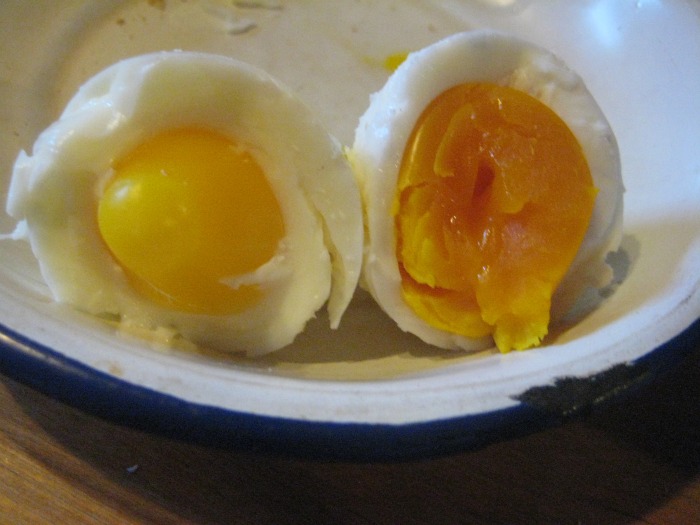 grassfed egg vs regular egg