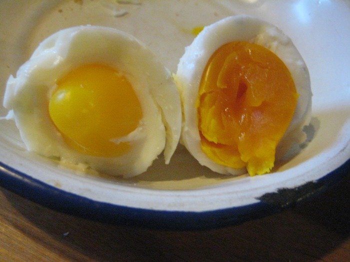 grassfed egg vs regular egg